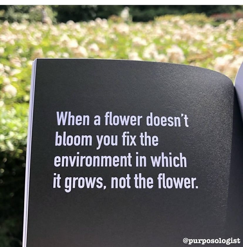 Let’s remember this in education.
