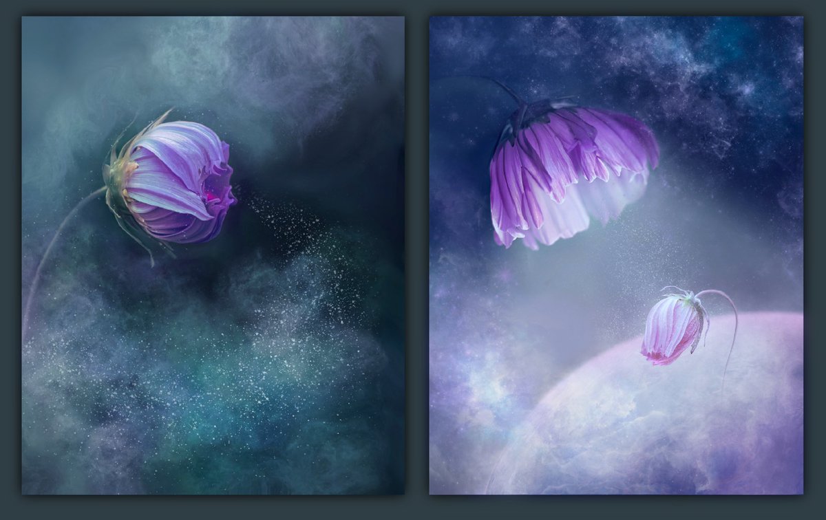 zebrax75's tweet photo. Hi! I present part of my first nft collection “Dream of other worlds”  https://t.co/Ids6NtwZhn   #NFTCommunity #nftcollector #nftart #NFT https://t.co/k9vGSaAQZT