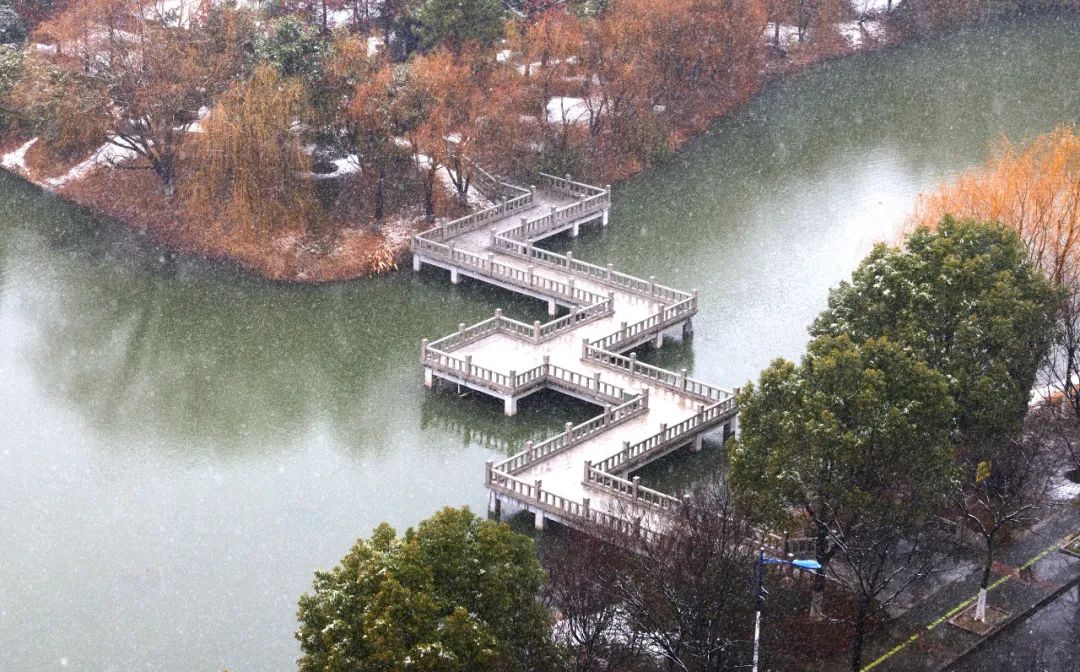 YourChinaStudy's tweet photo. ❄️#Snow is such a rarity in south China that whenever it visits it becomes a sight by itself. 😀🦢 Check out these amazing photos of a snow-shrouded Jiangnan University in #Wuxi city, #Jiangsu province. #StudyInChina #GetToKnowChina #nature #photography #universitylife #cold https://t.co/ZtxRrsY5OC