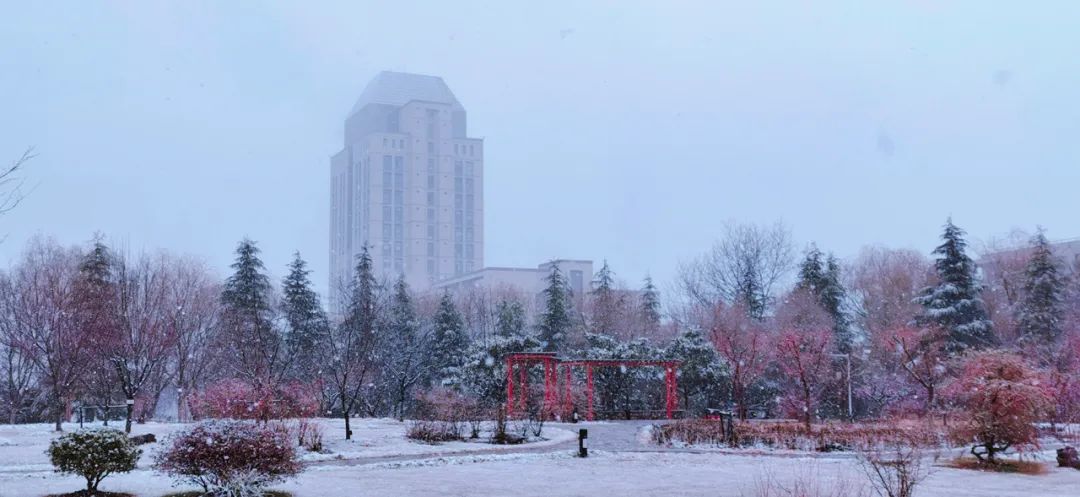 YourChinaStudy's tweet photo. ❄️#Snow is such a rarity in south China that whenever it visits it becomes a sight by itself. 😀🦢 Check out these amazing photos of a snow-shrouded Jiangnan University in #Wuxi city, #Jiangsu province. #StudyInChina #GetToKnowChina #nature #photography #universitylife #cold https://t.co/ZtxRrsY5OC