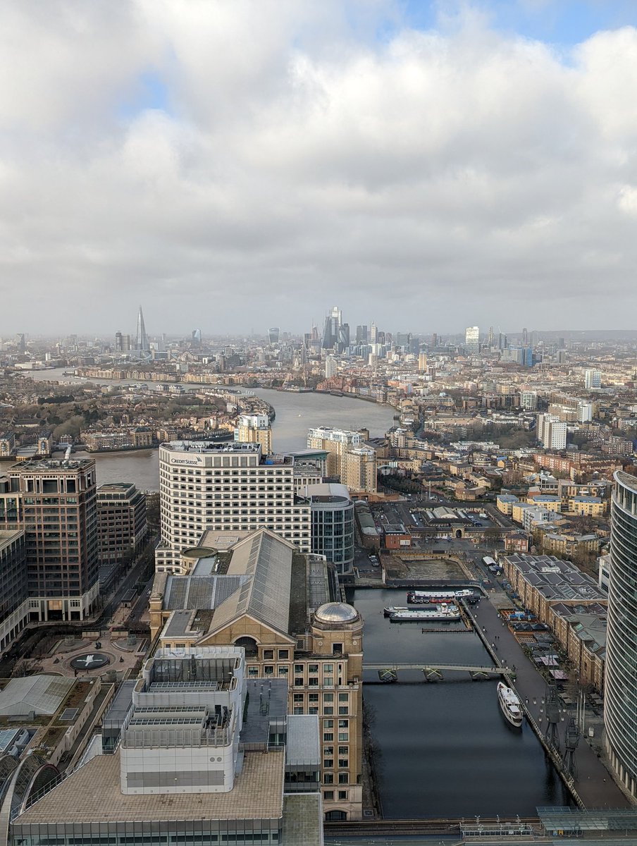 Violet Littlewood tweet media