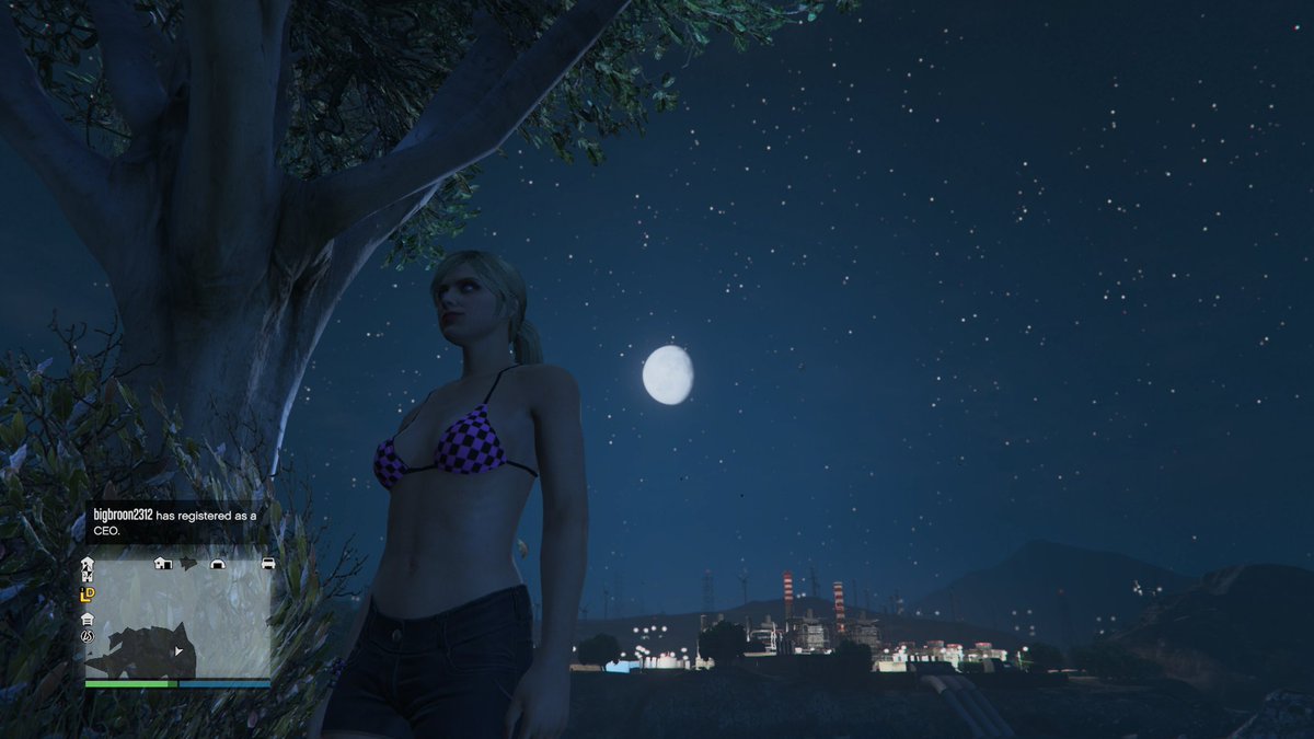 Silverstreams33's tweet photo. #moonbathing yo gta 6 is NEEDED i cant with 5 anymore https://t.co/99Z9Jn9MZF