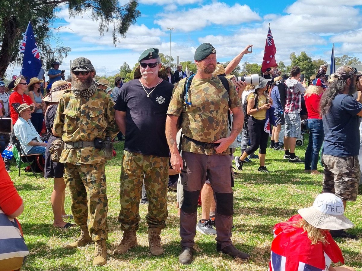 ◤ ◢◤ ◢◤ ◢◤ ◢◤ ◢ tweet media