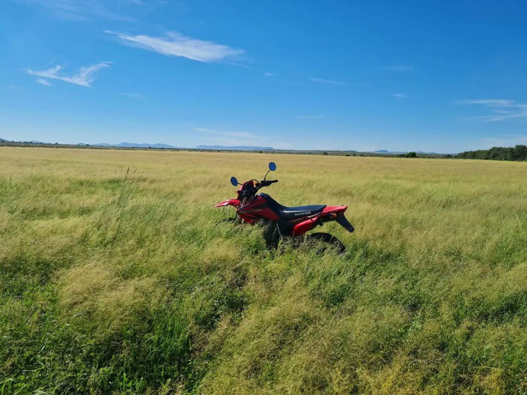 AgricolSeeds's tweet photo. Crop: Bosveld mixture (Planted 2019)
Area: Britstown
Agent: Mintakaroo - Phillip Breyl
Farmer: Ben Raath - Donkerhoek Boerdery

#agricol #goforgrowth #bosveld #mixture #britstown #donkerhoek #grazing https://t.co/6Ya3Hn5zkN