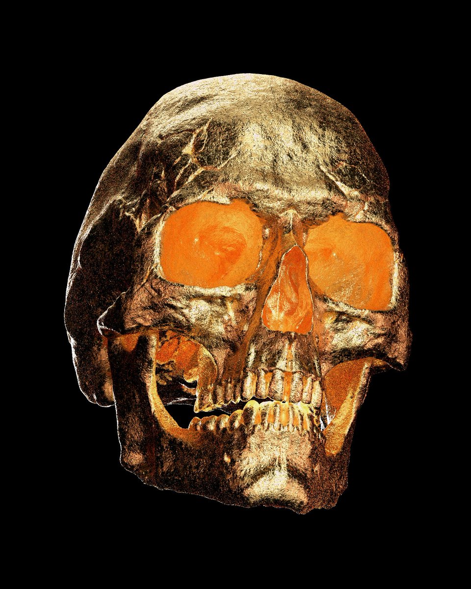 Serrroy's tweet photo. 22-001
#art #skull #nrealms https://t.co/21qQZXONqh