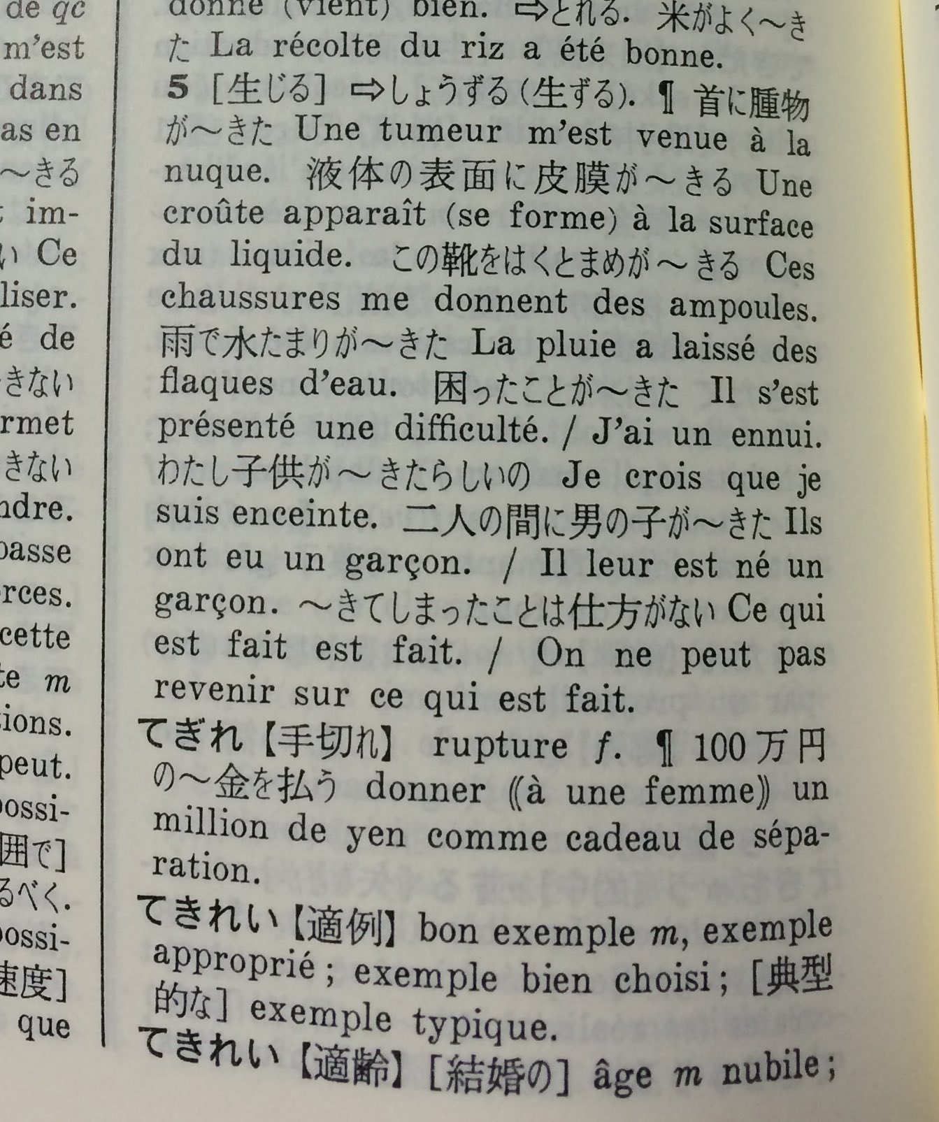 7 5 6 フランス語学習者には有名 和仏辞典 できる の項 次の 手切れ までストーリーが フランス語 辞書 編纂者の悪ふざけ T Co Vb2ptaqa3w Twitter