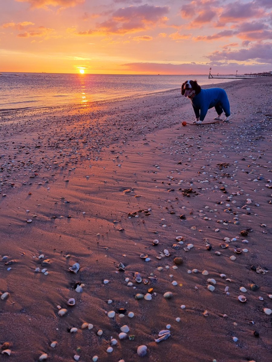 zlindsay17's tweet photo. @VISITCLEE @PapasFishNChips @JonMitchellITV @itvweather beautiful start to the day before the storms move it ❤#lookupitsfree #tobydog #beachlife https://t.co/fwahTwmvcO