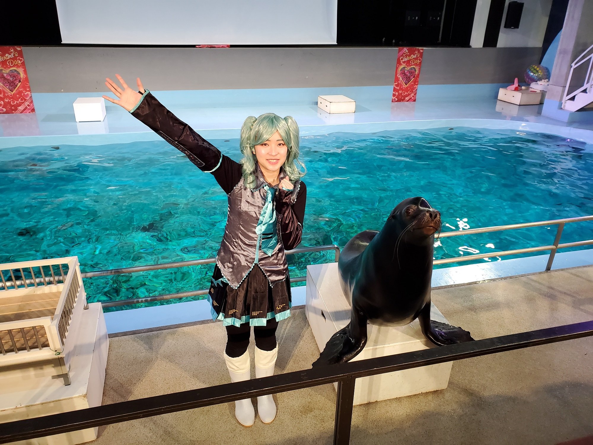 報知サブカル マジミラ10th C100参戦 初音ミク よみうりランド22 鏡音リン レン14周年記念 では 名物の アシカショーも復活します ピアプロキャラクターズの楽曲でかわいいダンスを披露するアシカに癒されて下さい W トレーナーさんの衣装に