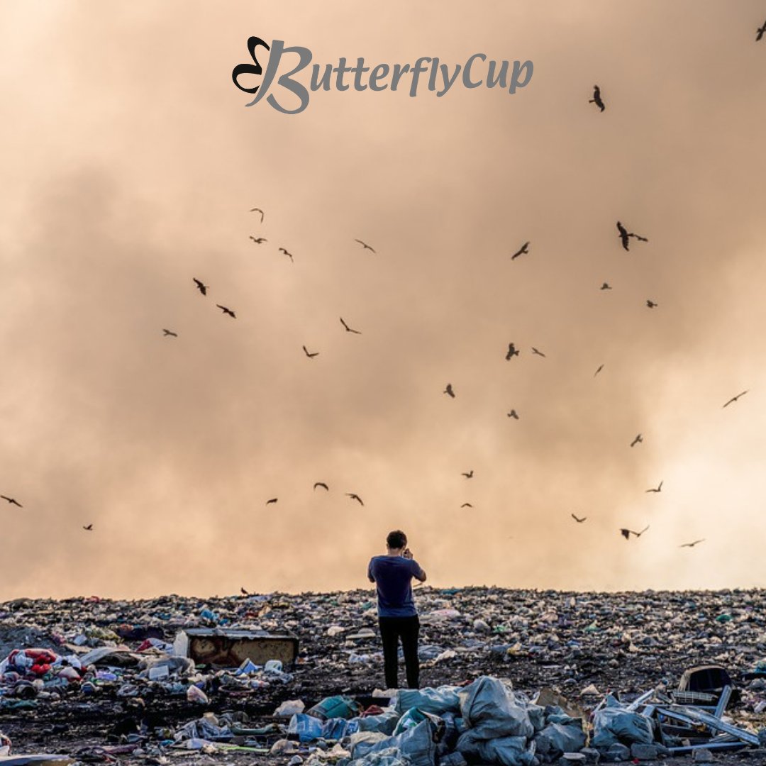ButterflyCup1's tweet photo. We can’t just recycle away the plastic problem. 

If things are going to get better, stopping plastic at the source is where we should start. 

#ButterflyCup is determined to make a difference, one coffee at a time. 

https://t.co/Q5VxLXGcbR https://t.co/Q7809fP9wK
