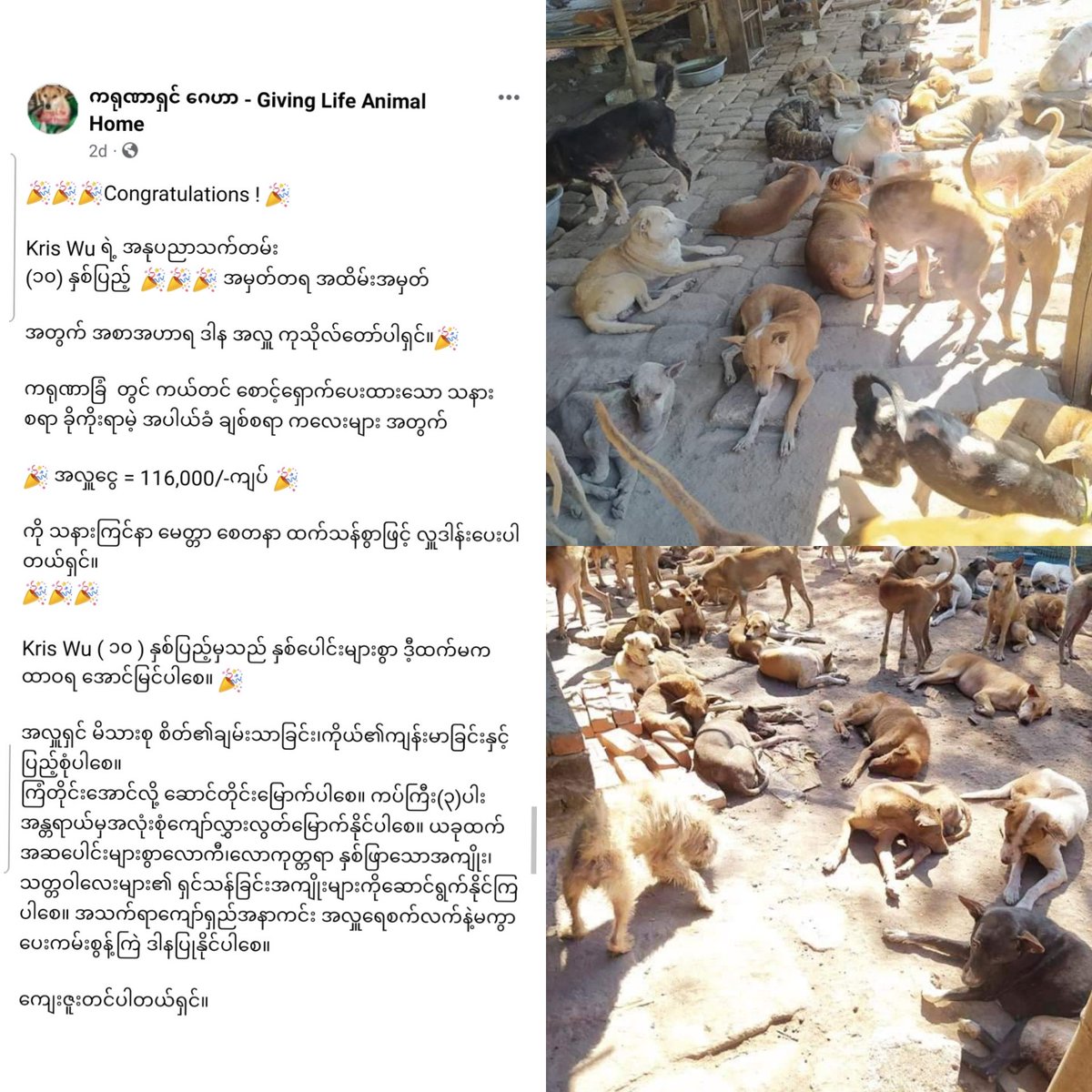 KrisWuMyanmar's tweet photo. As Kris Wu has always paid attention to charity,we follow his steps in doing charity. 

On this special day,Myanmar Meigeni made some charity,i.e, donation money to orphans, strayed animals &amp; IDPs.

Hope our donation will be a help for the needy.

#KrisWu https://t.co/my1MNfZkyl