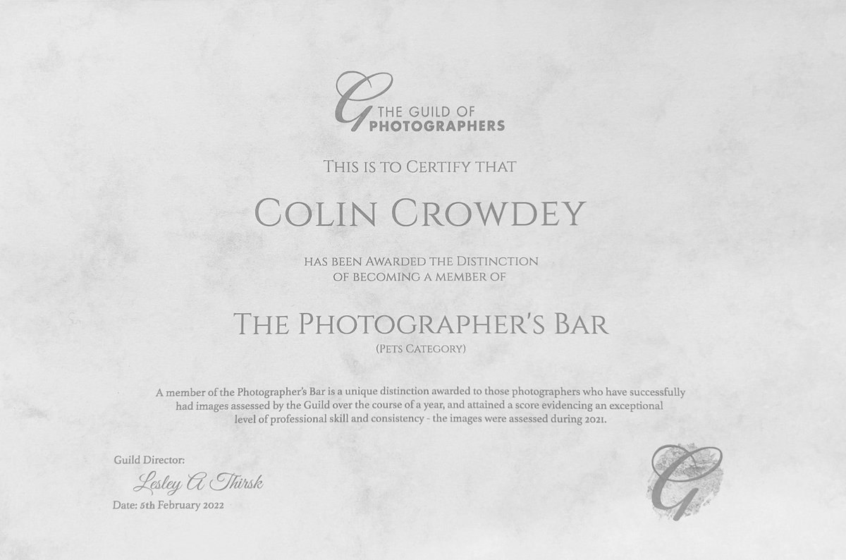 Just received the "Photographers Bar"from The Guild of Photographers! Over the moon is an understatement!
#proud #win #dogohotographer <a href="/TheGoodDogGuide/">The Good Dog Guide</a>