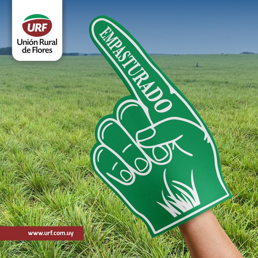 urf_cooperativa's tweet photo. ✅ En Unión Rural de Flores, le dimos la vuelta y encontramos el término justo para esta zafra: EMPASTURADOS!!!!

Porque un productor EMPASTURADO es aquel que año a año hace el máximo esfuerzo por producir más y mejor con semilla forrajera de calidad. 

EMPASTURATE con URF! https://t.co/wJevyAwJ7B