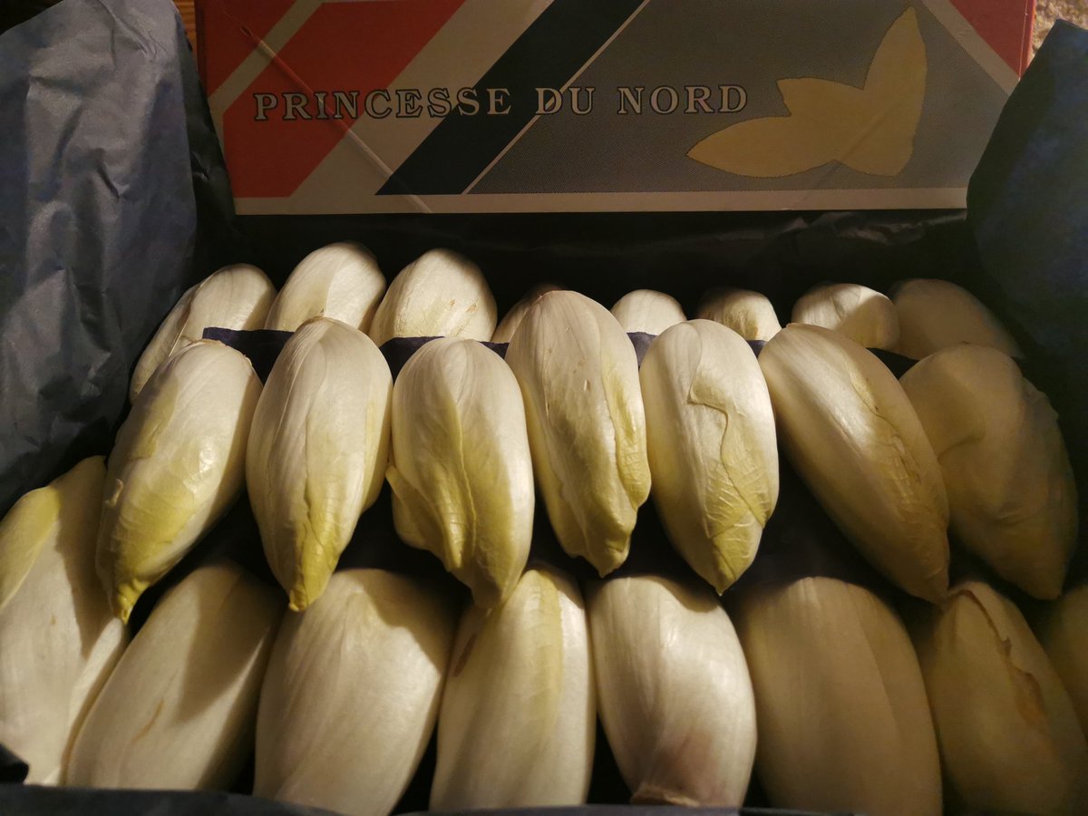 A_Beauc's tweet image. Venez découvrir ou redécouvrir la princesse du Nord, que dis-je, la reine du Nord, nous parlons bien évidemment de l'endive de pleine terre. 
Nos producteurs en ont besoin !
@Fragritwittos
#endivedepleineterre
#ventedirecte
#producteurslocaux 
#agriculture
#agricole
#FrAgTw