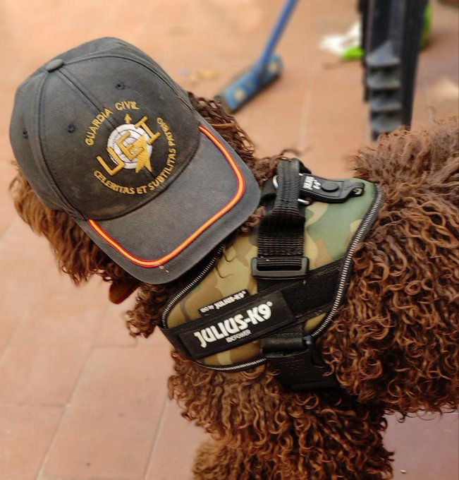 Guardia Civil tweet media