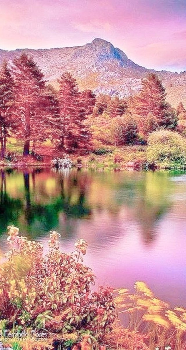 SarahiArQui's tweet photo. Good Morning °•▪︎○♡💗🌷
#Naturephography #naturelovers https://t.co/6K8HNu2zfh