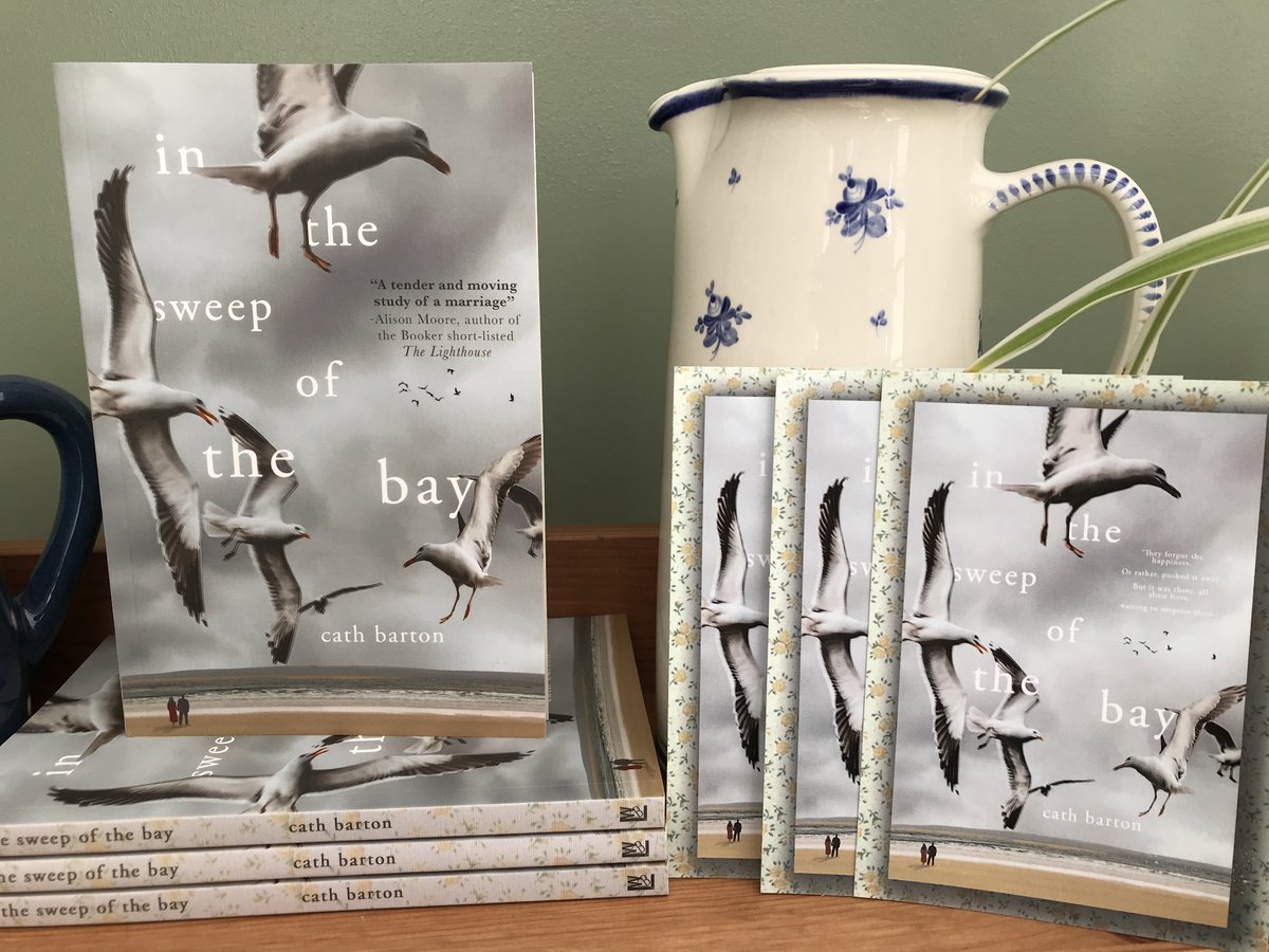 February is rushing by! Don't forget the LWB Book of the Month is @CathBarton1's In the Sweep of the Bay. You can get the e-book for a quid everywhere and signed copies from my website with nice extras... £8 inc P+P...  louisewaltersbooks.co.uk/shop-1