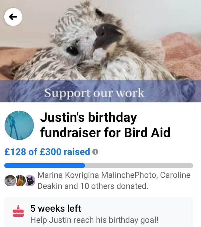 facebook.com/donate/1675616…

My birthday fundraiser for @charitybirdaid 

<a href="/The_Animal_Team/">The Animal Team</a> <a href="/_AnimalAdvocate/">ANIMAL ADVOCATE  Ⓥ</a> <a href="/OfficialBHAFC/">Brighton & Hove Albion</a> <a href="/charliemoores/">Charlie Moores</a> <a href="/NickTaylorLLB/">Nicholas Taylor</a> <a href="/MarkAvery/">Mark Avery</a> <a href="/ProBirdRights/">birdsrightsactivist</a> <a href="/britishbirds/">British Birds</a> <a href="/GullLand/">UK Birds and Wildlife 🇬🇧🇺🇦</a> <a href="/TweetingSeagull/">The Tweeting Seagull Blog</a> <a href="/BirdSpotUK/">birdspotuk</a> <a href="/woodyCook1/">Woody Cook</a> <a href="/ZoeTheBall/">Zoe Ball</a> <a href="/CarlBovisNature/">Carl Bovis</a>