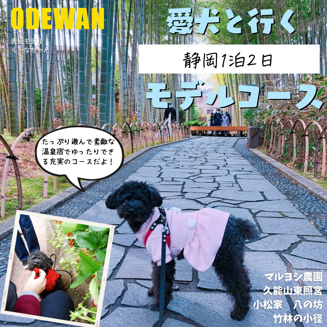 おでかけわんこ部 愛犬とのおでかけ情報 Odewanbu Twitter