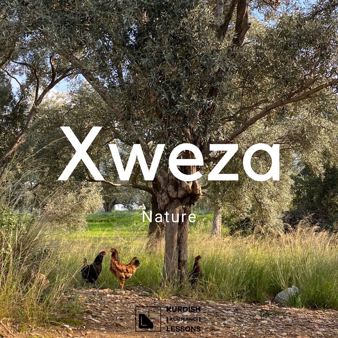 kurdishlessons's tweet photo. Mirîşk - Dar - Xweza
#kurdî #kurdish #kurdishlessons https://t.co/yzVXwxc0Fg