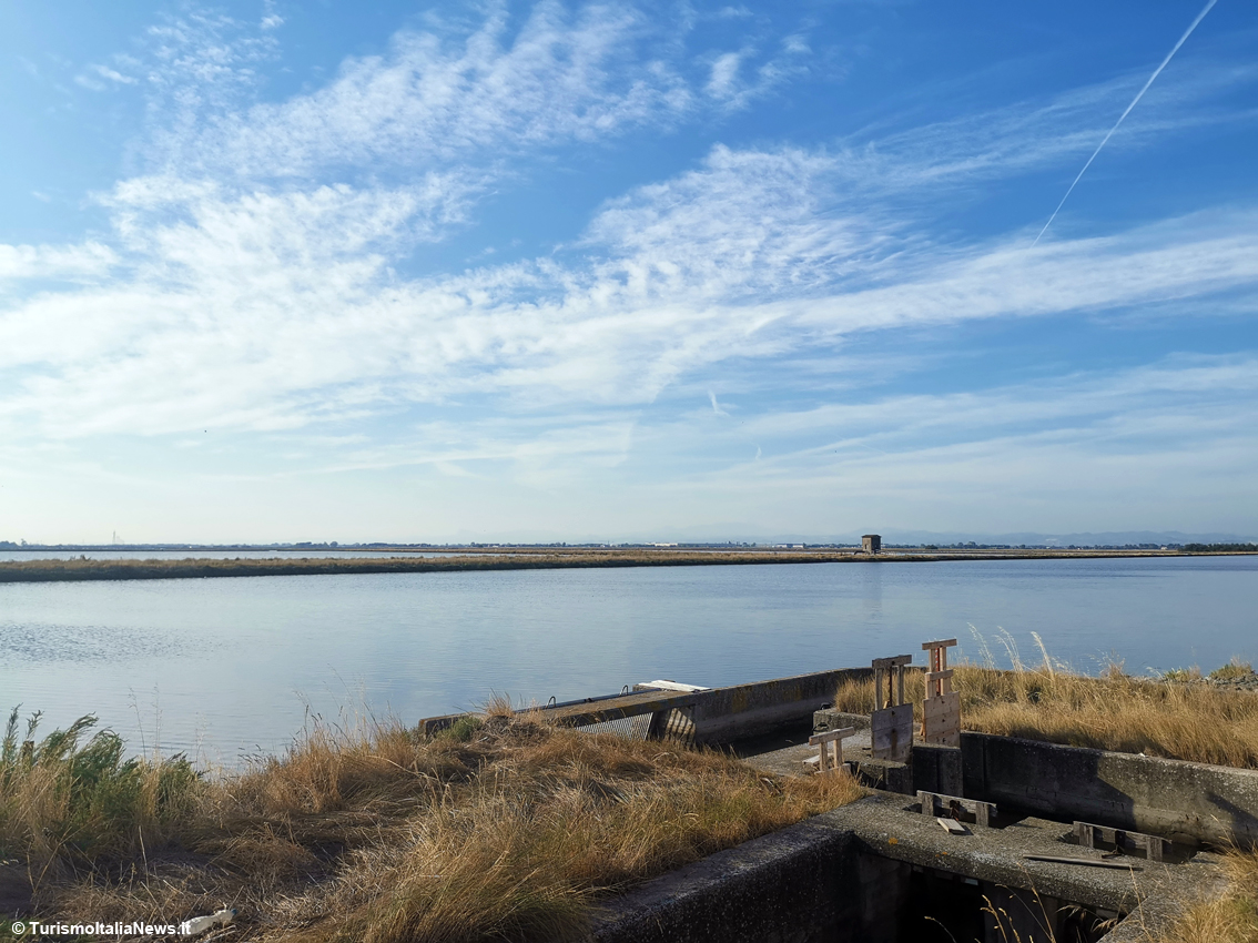 TurismoItaliaNw's tweet photo. Da Cervia a Venezia in bici seguendo la Rotta del Sale Bike Trail: via terra l’antico itinerario dei salinari cervesi verso la Serenissima 
Leggi la notizia https://t.co/zid94J0e37 

#Cervia #Venezia #itinerari #bicicletta #Turismo  #rottadelsalebiketrail @VisitCervia @turismoER https://t.co/vERWJkdT7i