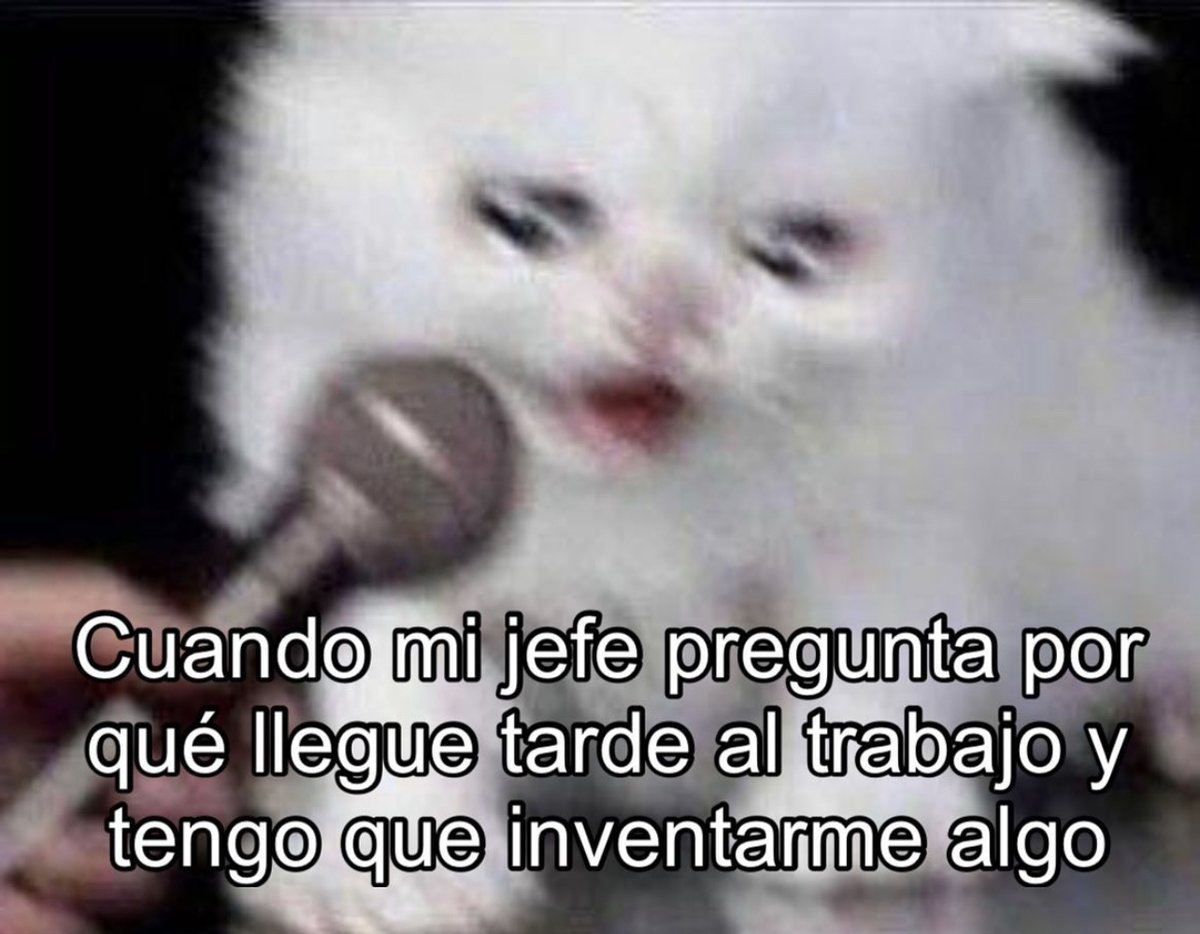 El Guarromántico (@guarromantico_) on Twitter photo 