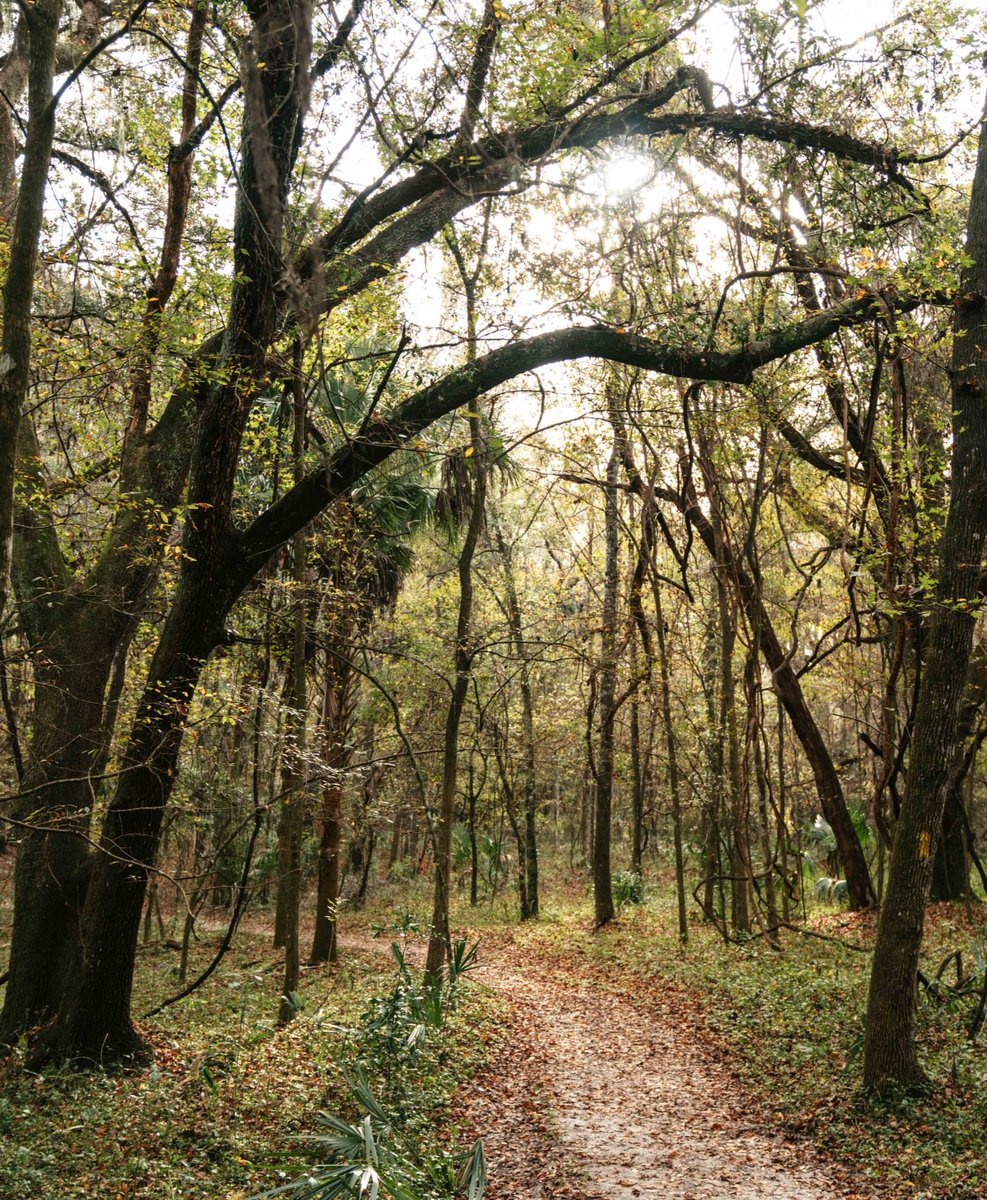 PlayHardFlorida's tweet photo. Get through your mid-week lull by getting some fresh air - hit the trails this week and #getoutthere https://t.co/zwsnbm8mVP