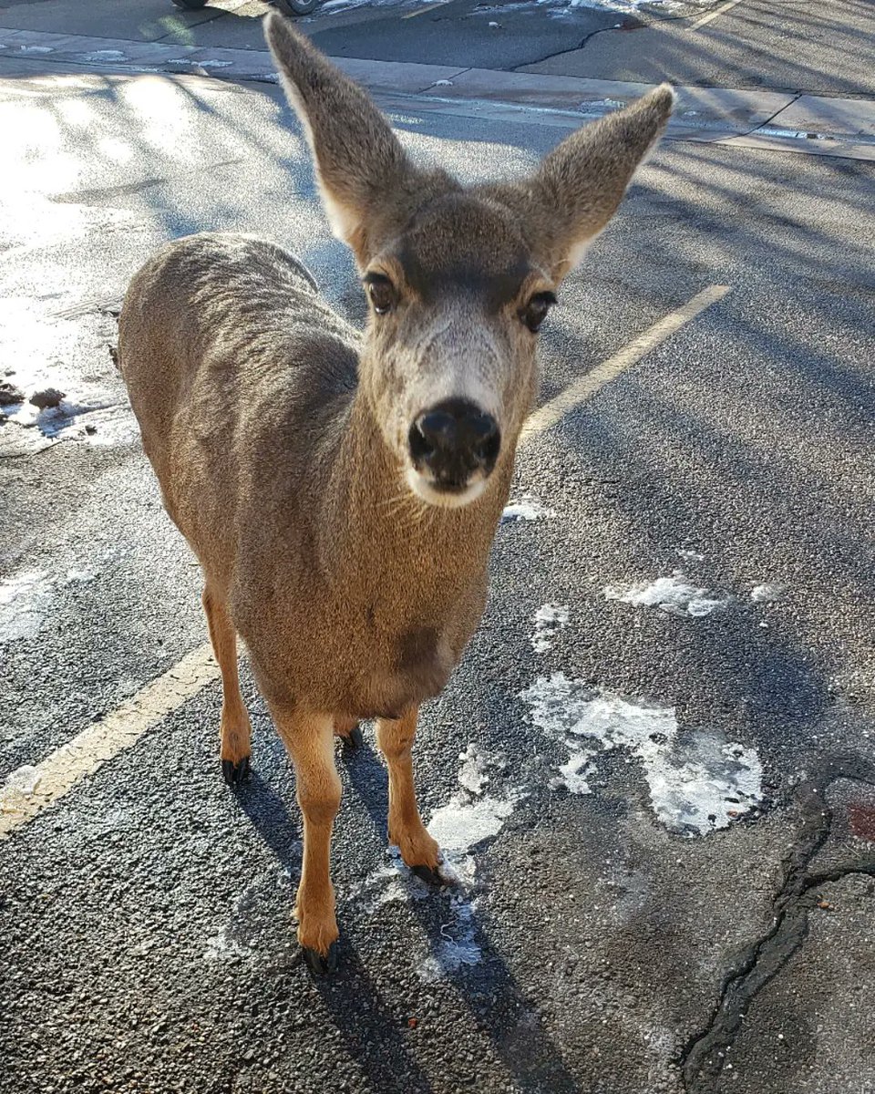 Max Underwood Photo tweet media