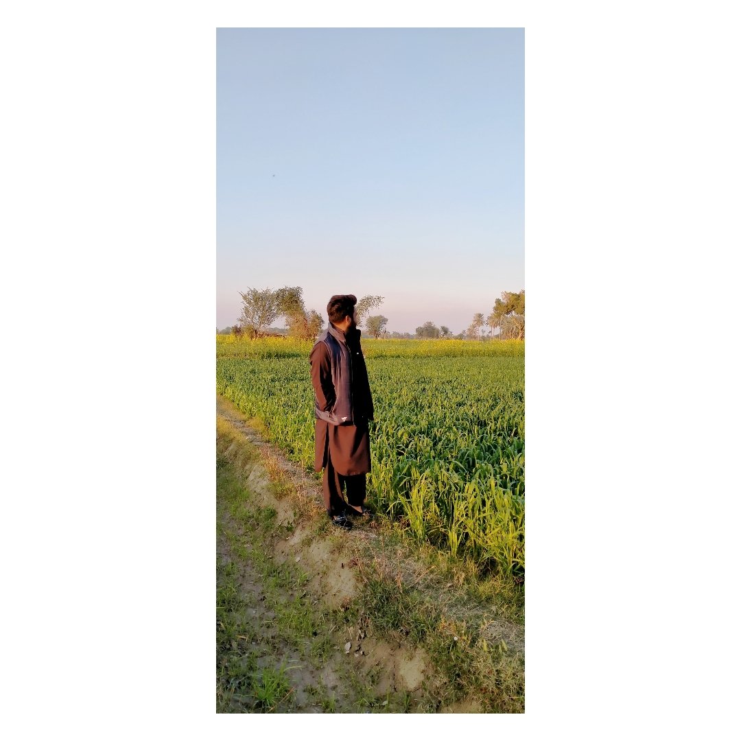 PanhyarAdnan's tweet photo. #Village #Khairpurmirs https://t.co/VCH6QC0ccg