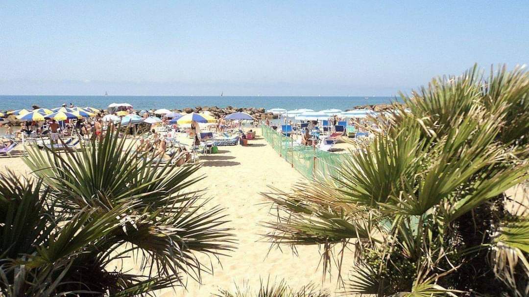 Litorale M5S Roma:"Con regolamento Salva Costa inizia percorso proposta di delibera su spiagge di Roma"
Leggi il comunicato qui:bit.ly/3GQFTwB
Il testo della delibera: drive.google.com/file/d/1deQRfC…