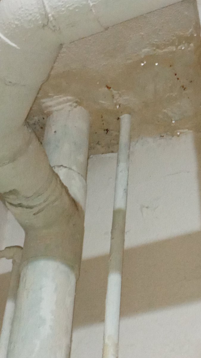 shashankkumar05's tweet photo. @dmgbnagar @CeoNoida @noidapolice गुरुग्राम की बिल्डिंग दुर्घटना   के दोहराव की तैयारी है, गौतम बुध नगर के गौर सौंदर्यम सोसाइटी मे, लगातार कई फ्लैट मे पानी के रिसाव और गिरने की समस्या आम है, पिछले दो सालों से @gaursons से  तमाम शिकायतों का कोई समाधान अभी तक नही मिला. https://t.co/f1ZtNuHAcv