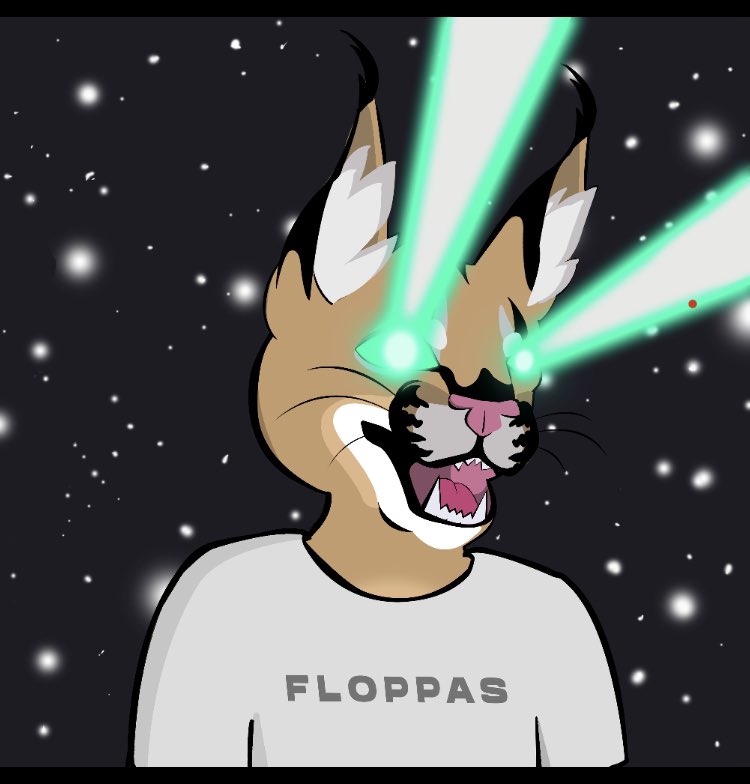 DUMBPUMPING's tweet photo. @FloppasNfts I have the first and you guys 🚀🔥⚡️ https://t.co/r417PHbuCR