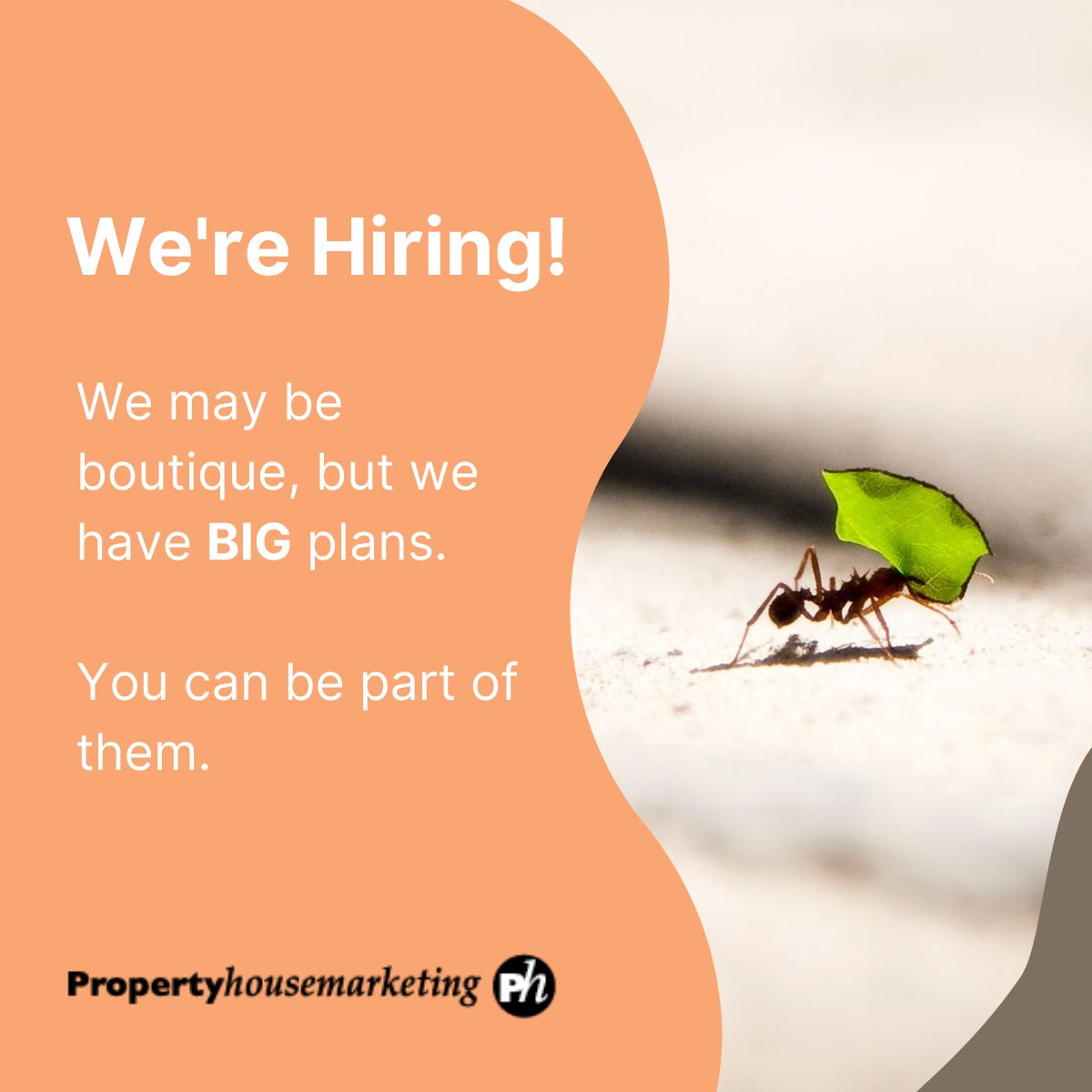 PHM is #hiring a new Account Manager! 📝We're a growing team based in Guildford with some fantastic property clients. If you want to work on an ever-increasing portfolio of exciting new PR projects, apply via the link below 👇

linkedin.com/jobs/view/2907…