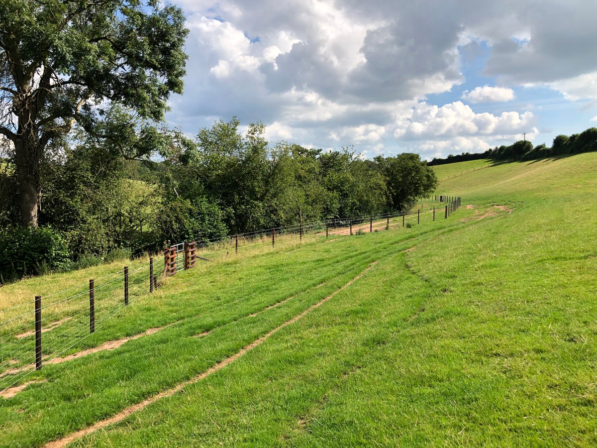 Countryside Stewardship re-opens for 2022 (England only)... for more information see link to our website 🏡🐮💡 
ruraladvisor.co.uk/countryside-st…
#ruraladvisor #countrysidestewardship
