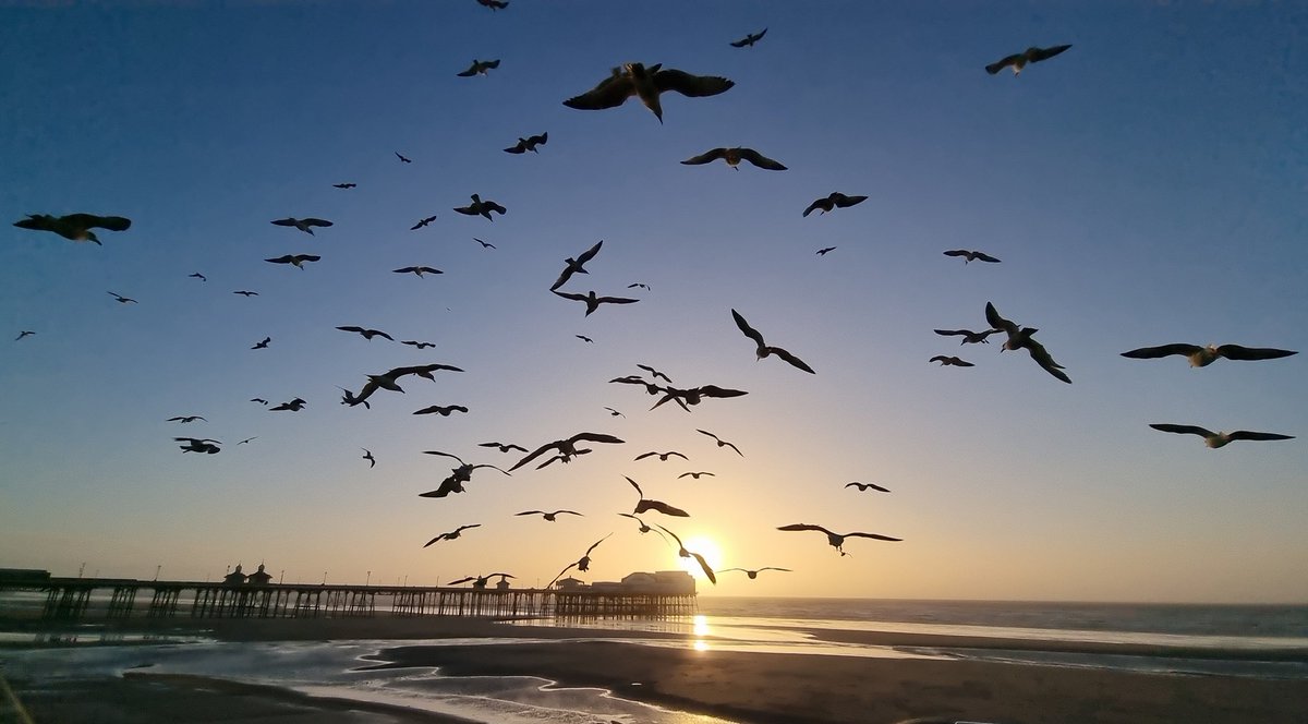 Ciaran Nelson tweet media