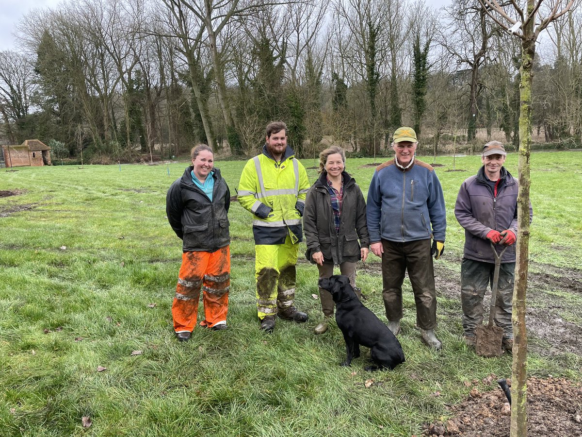Team Munden led by Kate Holland-Hibbert DL tree planting for future generations. <a href="/QGCanopy/">The Queen's Green Canopy</a> <a href="/mundenestate/">Munden Estate</a> <a href="/khollandhibbert/">Kate Holland-Hibbert</a> @JamesASinclair We will see little of the majesty of these trees but their future is bright.