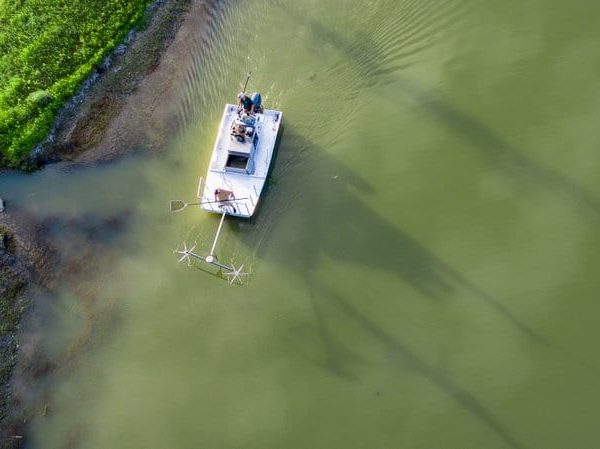 LochowRanch's tweet photo. Electrofishing is the best method to learn what lurks in your lake. Our custom outfitted electrofishing boats bring you state-of-the-art technology for the most accurate fish surveys. https://t.co/fNgmRnSwg7
#electrofishing #bass #texasfishing #pondfishing #pondstocking https://t.co/PFZwUjUaOh