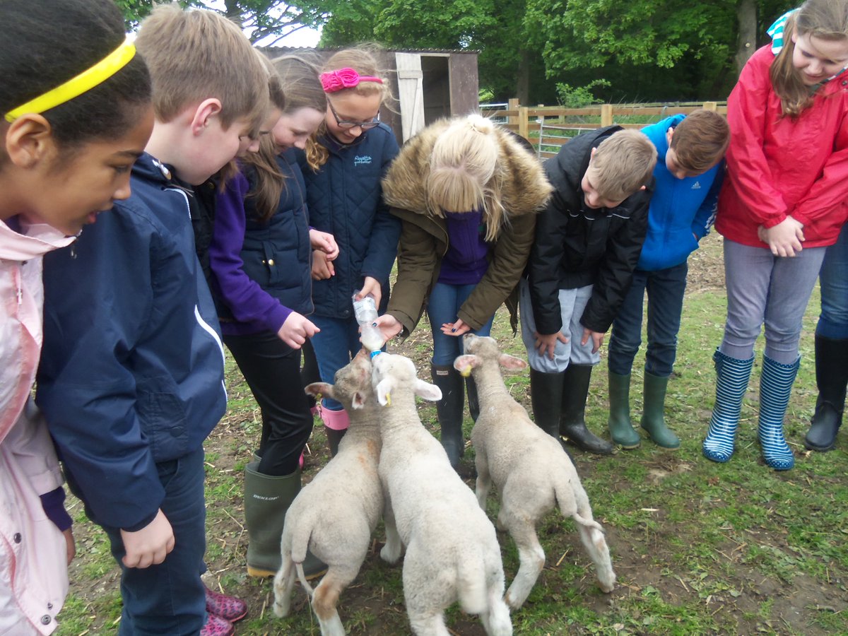 Farmers... have you hosted children or the public on your farm/land?  

What were the benefits for you, and for them? 

#EducationalAccess #EqualAccess #CountrysideStewardship #FarmDiscovery #RuralPayments #FoodDiscovery #FarmtoFork