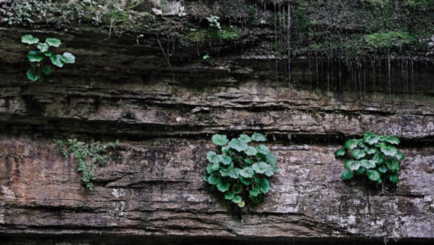 shakervillageky's tweet photo. Don't miss our Geologic Walk Through Time on Saturday, February 26. You'll explore the Kentucky River Palisades as our guides show how the geology of the region has shaped what we see above ground today.
https://t.co/3LOadiBmVx

#ShakerVillageKY #Geology #Hike #KYRiver https://t.co/e0M1lhHQgD