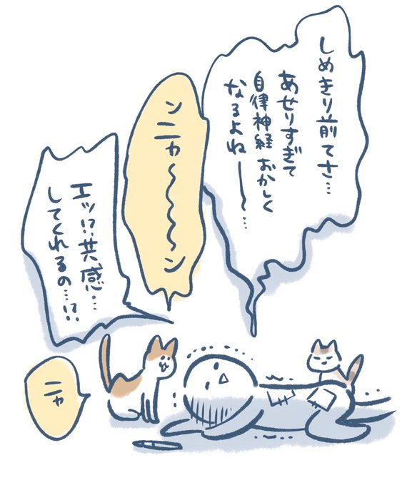 うちのねこ、話聞いてくれてやさしい 