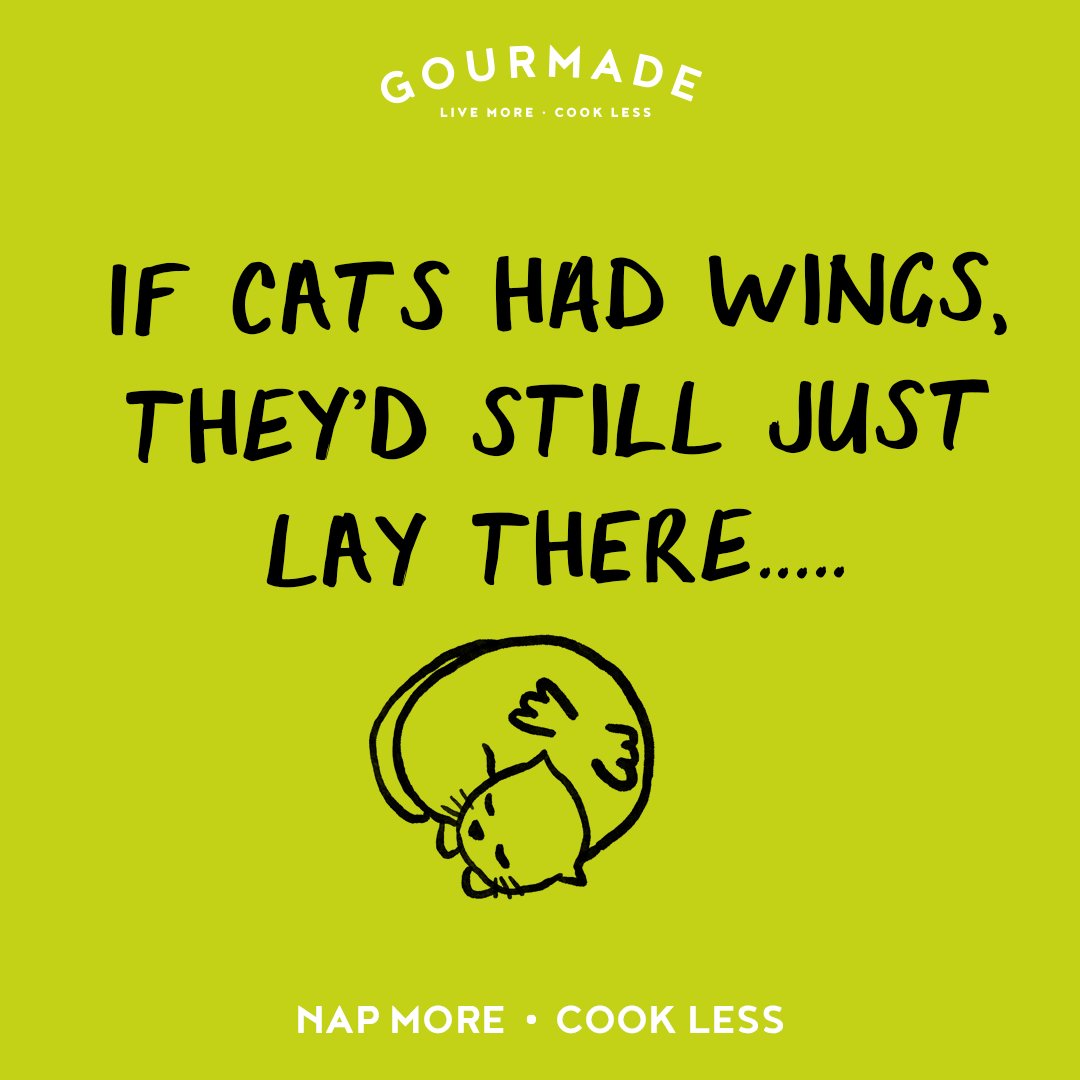 GourmadeFoods's tweet photo. Be more cat! Leave us to do the cooking, select your favourite meals for our delicious range pop it in the oven and relax 💤

(just don't forget to set an alarm 🔥😬)

Nap More . Cook Less with Gourmade

Available online at https://t.co/M5Z0XOcFM7 or in selected retailers 

#cats https://t.co/gbECTniO3y