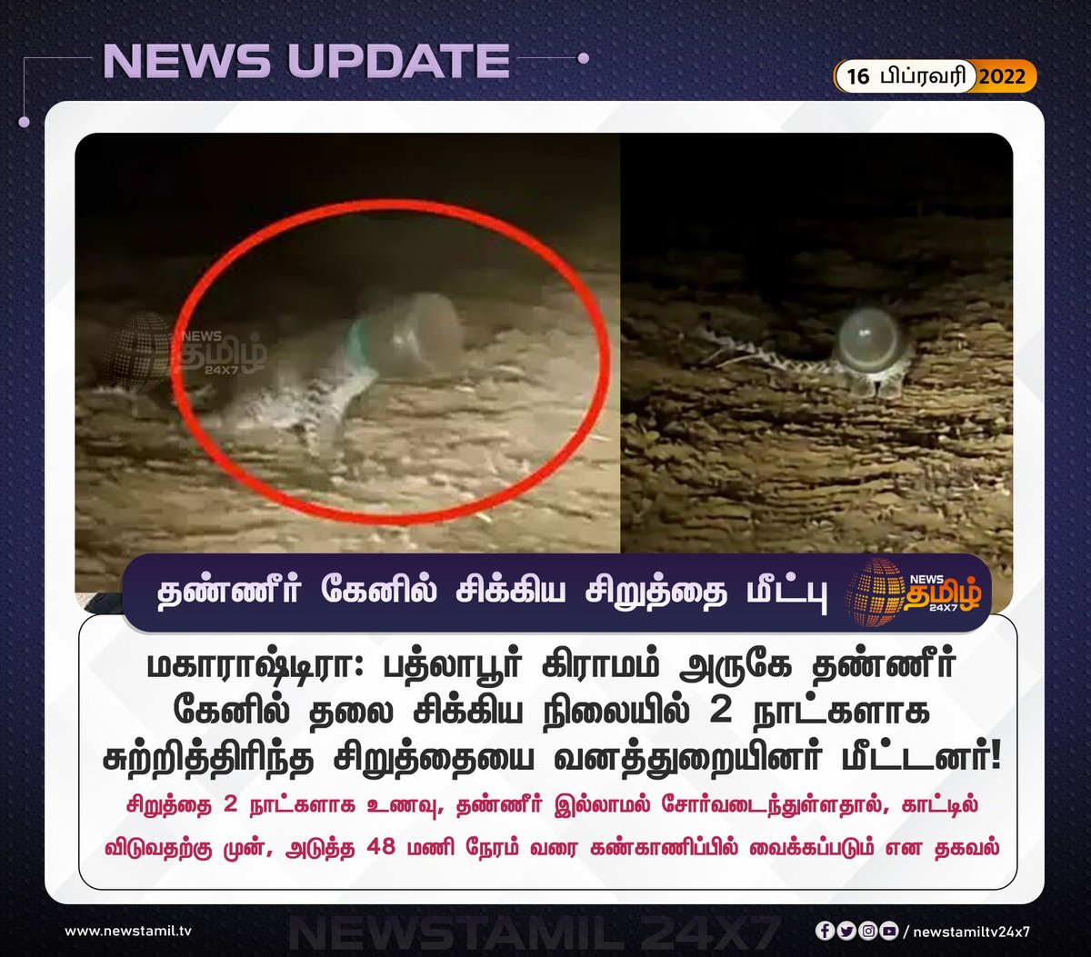 NewsTamilTV24x7's tweet photo. #NewsUpdate
தண்ணீர் கேனில் தலை சிக்கிய நிலையில் 2 நாட்களாக சுற்றித்திரிந்த சிறுத்தையை வனத்துறையினர் மீட்டனர்!
#Leopard #HeadStuck | #WaterJar https://t.co/0uevFp4ljD