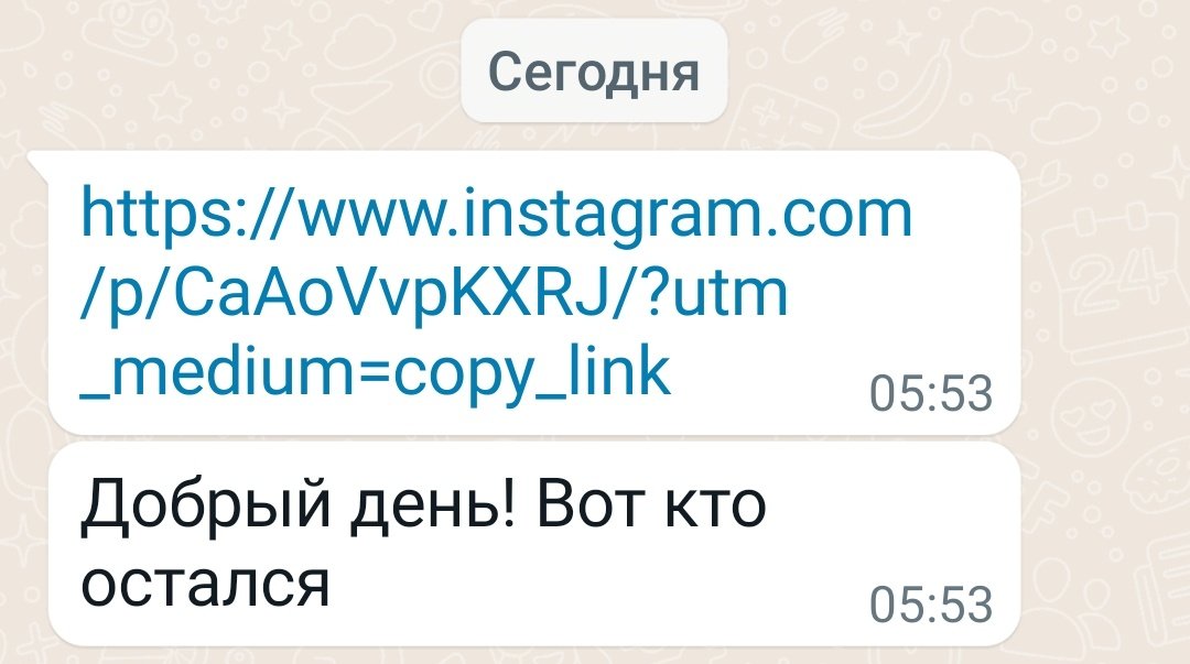 x.com/ivpamax/status…
Сегодня, наконец, мне ответили.. Готова была взять таксу, но "Остались" Только два алабая,девочка стаф и ягдтерьер. Такс забрала команда. Не могу, к сожалению, никого взять из этой четверки.. Помогите РТ найти дом или кураторов оставшимся собакам🙏