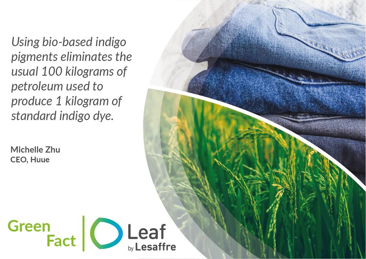 Leaf_Lesaffre's tweet photo. [GREEN FACT] Most jeans are dyed using fossil-based indigo #dyes, requiring dangerous chemicals and petroleum. Companies like @huuebio, @colorifix and @_PILIbio are acting towards a more #sustainable jean-making industry by removing the use of toxic chemicals petroleum. https://t.co/IkH09Kt2SF
