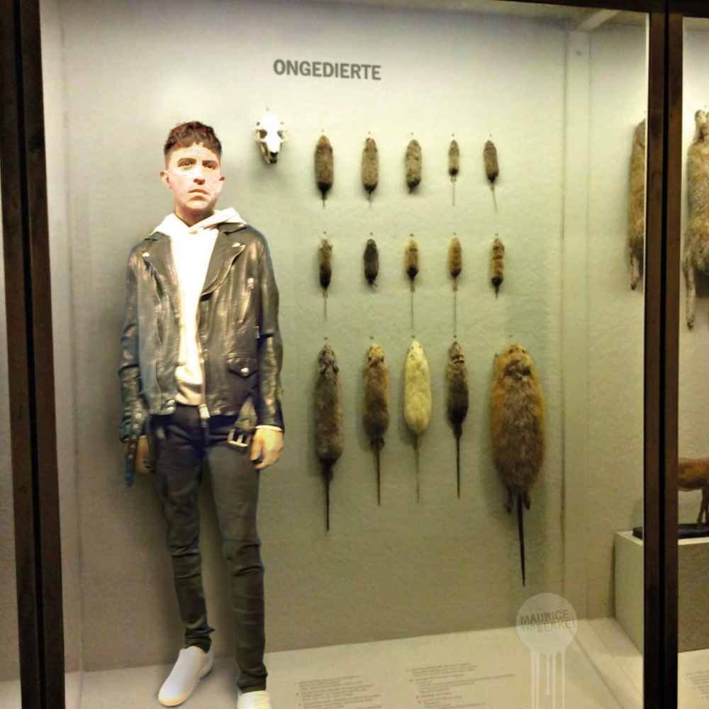 Maurice van Berkel (@mvan_berkel) on Twitter photo Naturalis neemt wassen beeld over van Madame Tussauds. Naturalis neemt wassen beeld over van Madame Tussauds.