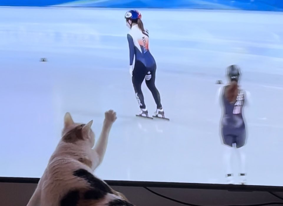 민정언니 나 꿀떡이