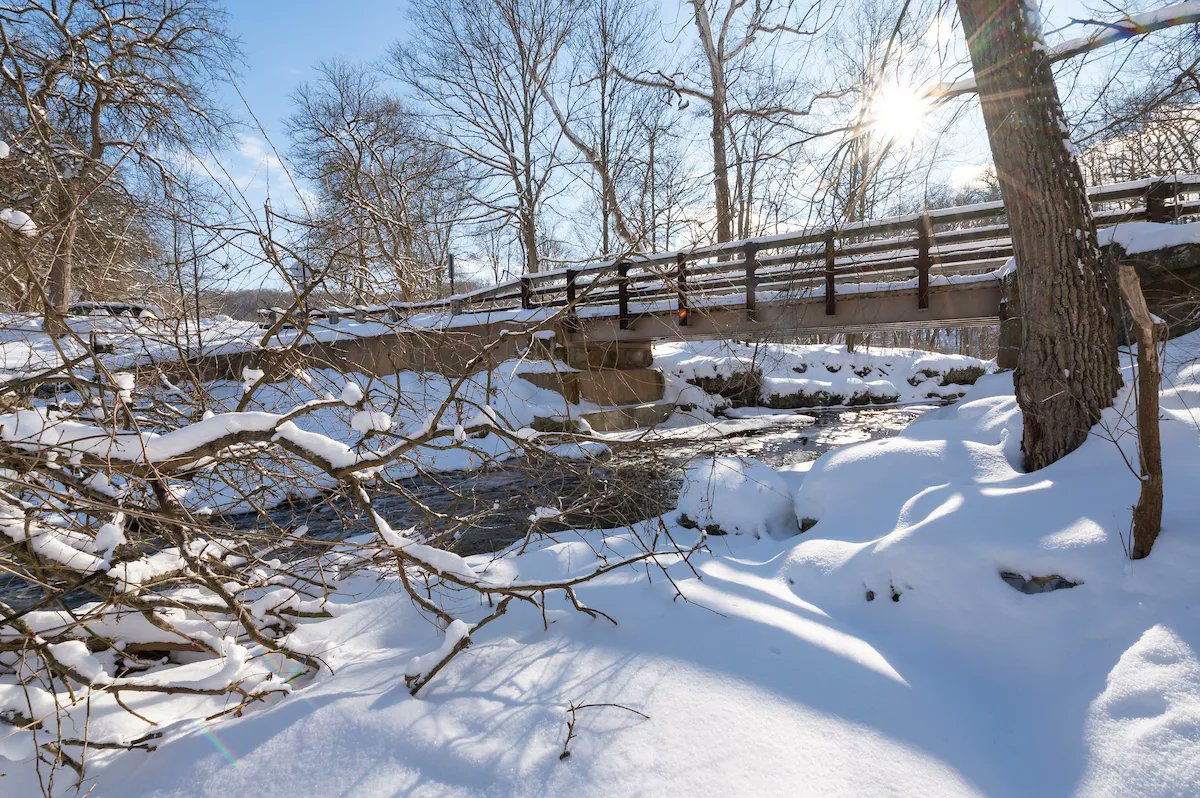 clevemetroparks's tweet photo. 32 days until spring! 🌱 https://t.co/Y6lwUkWzZG