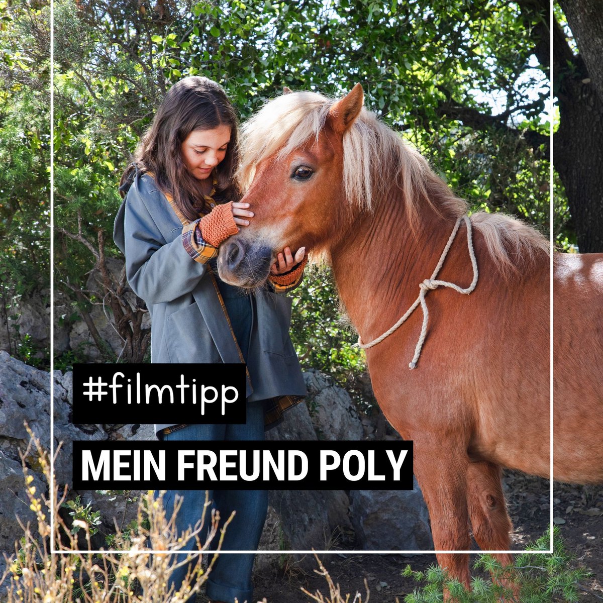 SKW_BW's tweet photo. Diese Woche wollen wir, passend zum vorhergehenden Thema, den Film "Mein Freund Poly" vorstellen. Eine Held:innenreise wie sie im Buche steht. 
Sprichwörtlich - da das Ursprungsmaterial ein Kinderbuch ist.
Bildrechte: Capelight Pictures
#filmbildung #filmtipp #skw #twlz #edubw https://t.co/dMHLwM0pT9