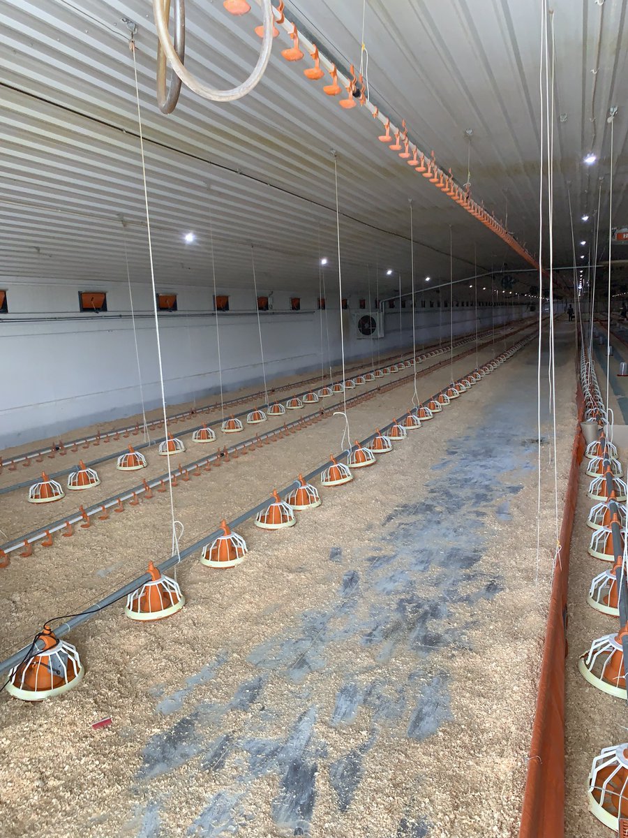 EMashatise's tweet photo. Wonderful farm visit today by #AAQ students. The mixed farm on the outskirts of Jo’burg, grows 1500ha of maize, 500ha soybeans, 1000 beef cattle and 1.1million broiler birds per cycle. Very well managed high tech farm @dr_andy_wilcox @HarperAdamsUni @AGCOcorp https://t.co/W7LWxqguF1
