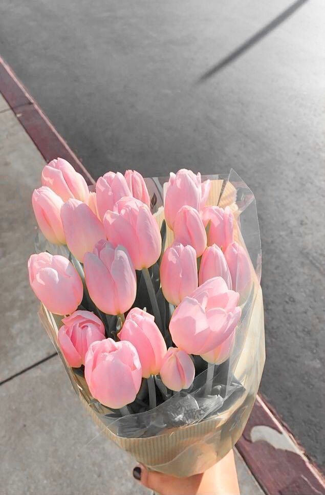 buy her tulips 🌷✨