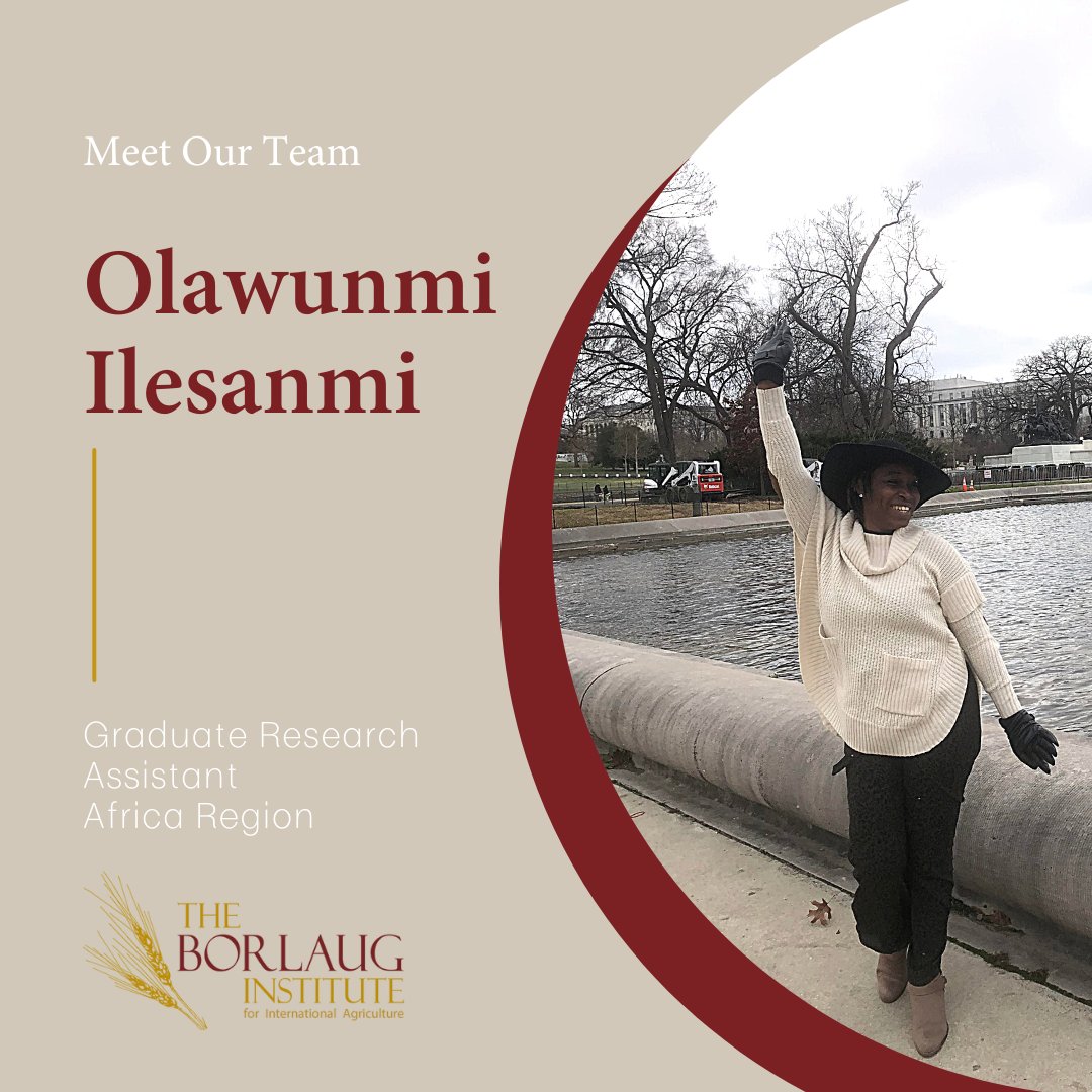 BorlaugTAMU's tweet photo. Meet Olawunmi Ilesanmi!

'Wunmi' is a Graduate Research Assistant for the Africa Region. Wunmi was "born and buttered" in Nigeria and is a current Ph.D. candidate in the @ALECaggies department at @TAMU. 

@Olawoomee #MeetOurTeam #StaffHighlights https://t.co/vbzsIvaaRQ